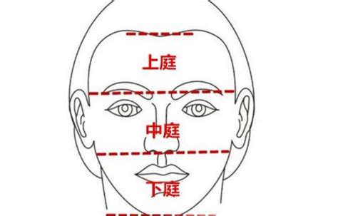 面相 上庭 中庭 下庭|面相學裡的「三庭」究竟怎麼回事？